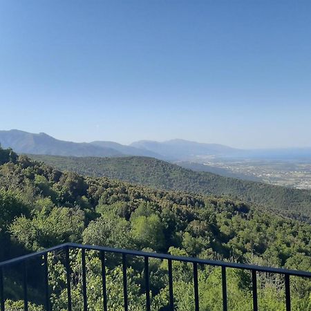 Gite La Fontaine Corse Loreto-di-Casinca Quarto foto