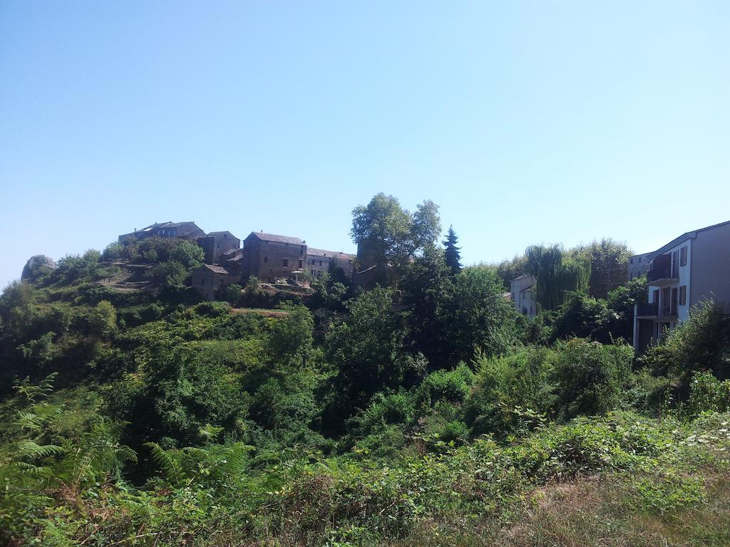 Gite La Fontaine Corse Loreto-di-Casinca Quarto foto