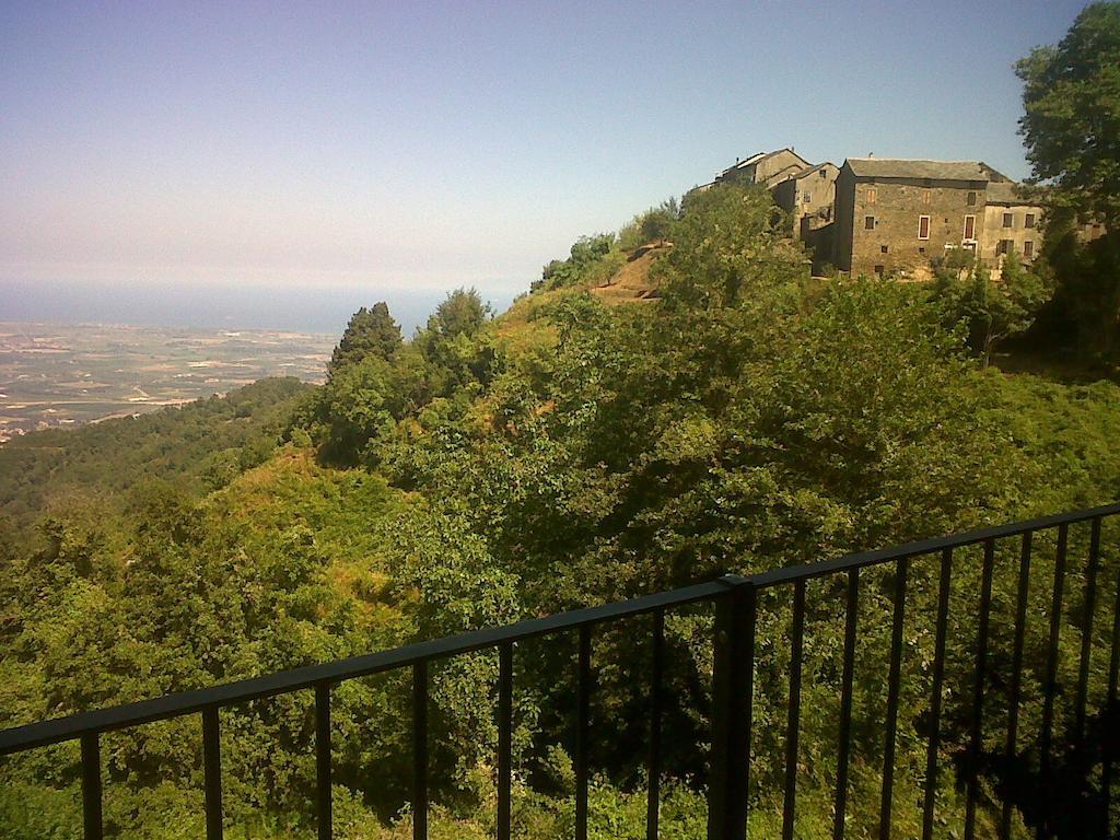 Gite La Fontaine Corse Loreto-di-Casinca Quarto foto